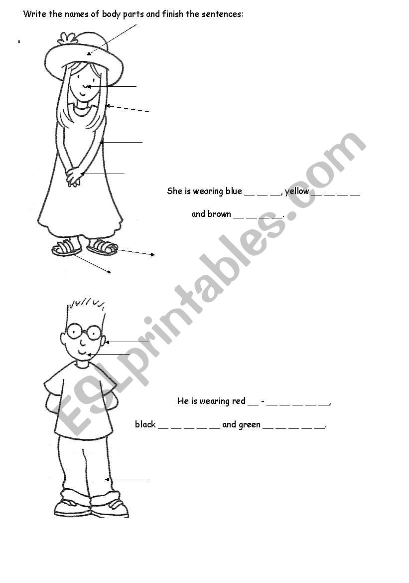 Body parts and clothes worksheet