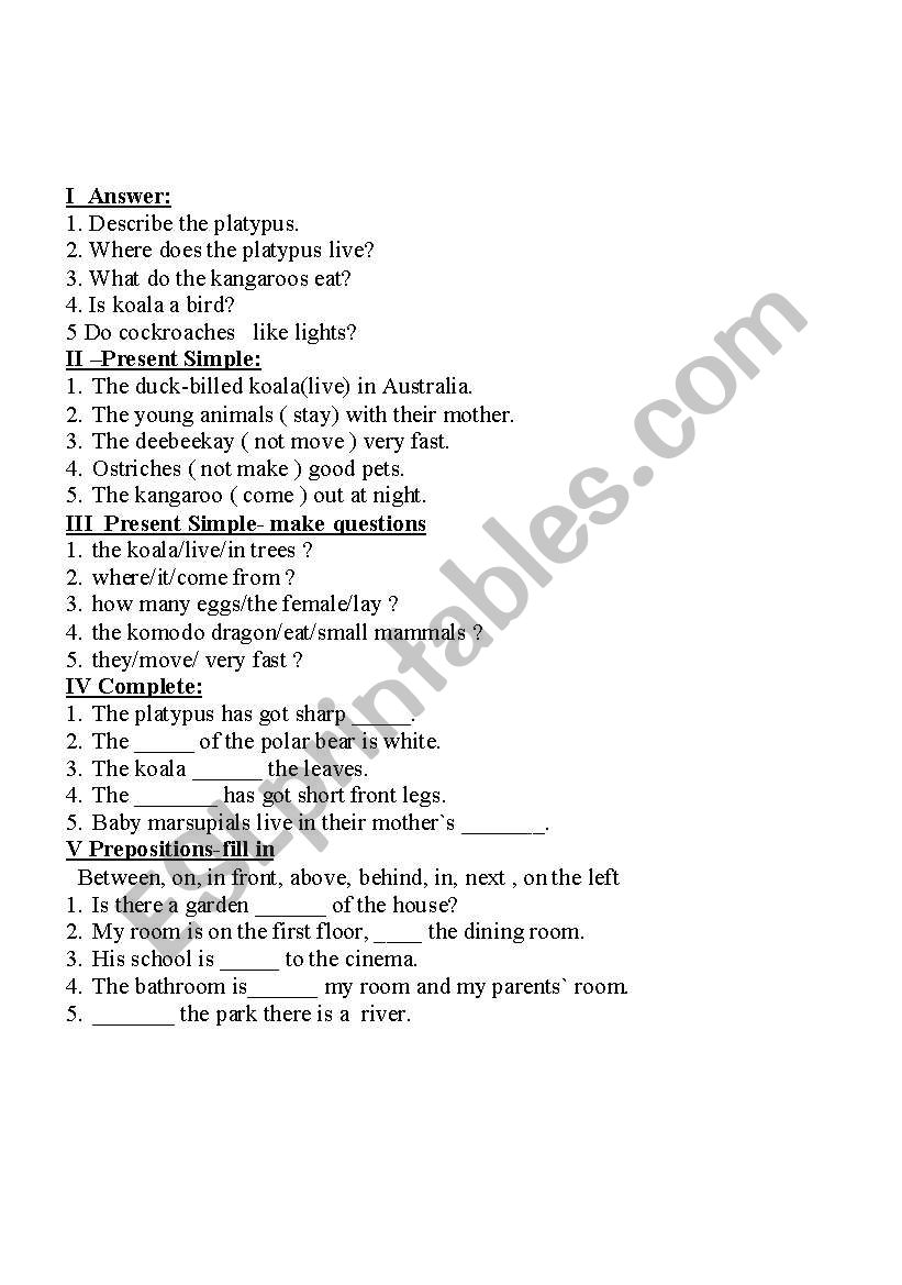 present simple worksheet
