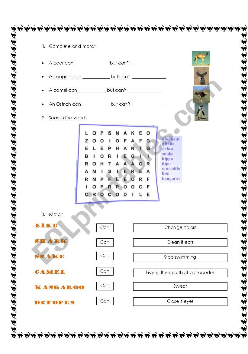 wild animals  worksheet