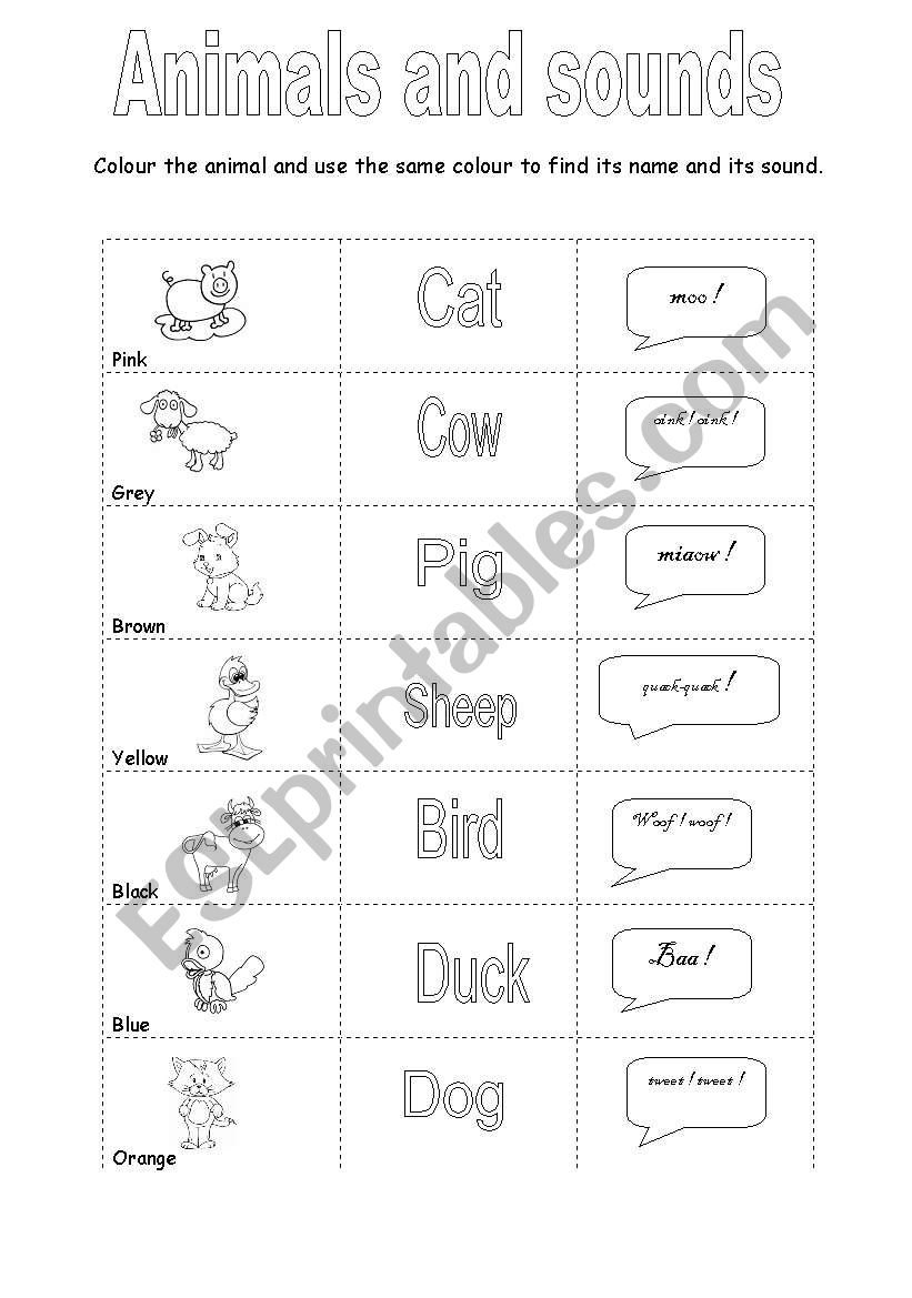 Animals and sounds worksheet