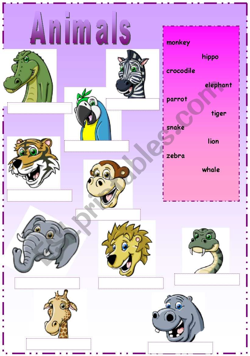 animals worksheet