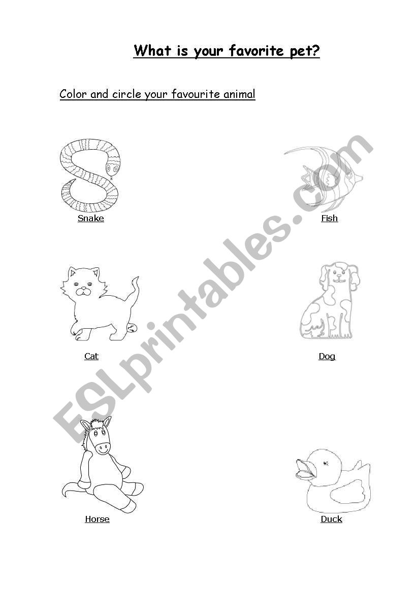 pets worksheet