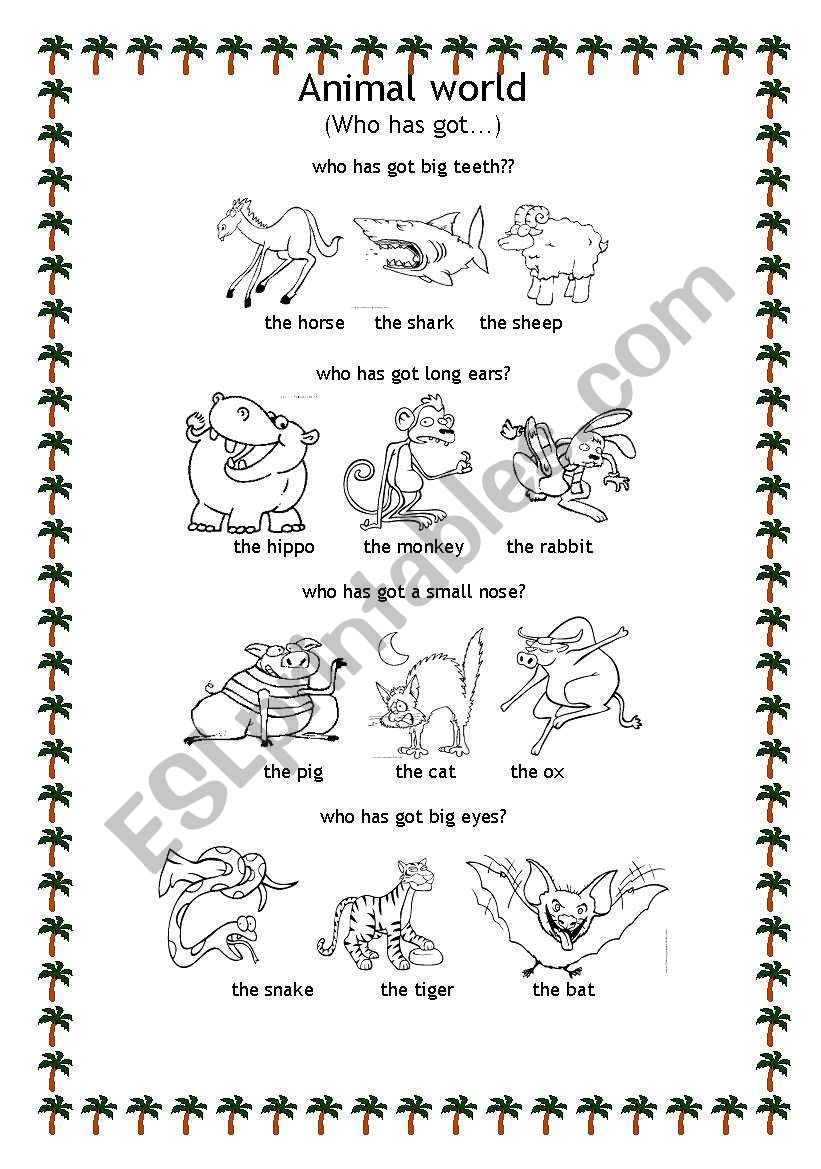 Animal world worksheet