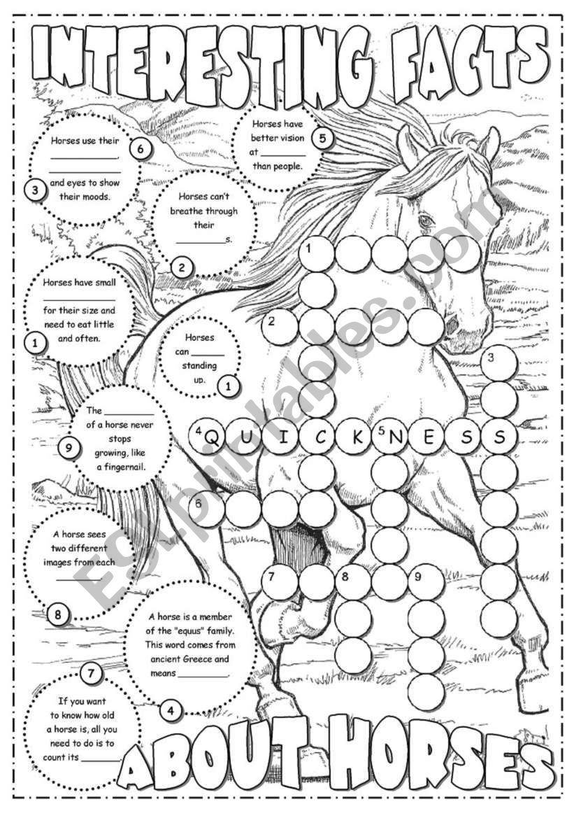 interesting-facts-about-horses-esl-worksheet-by-alenka