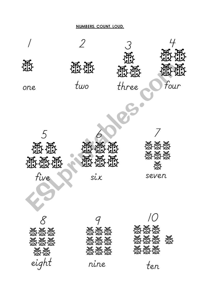 Count, point and say exercise.