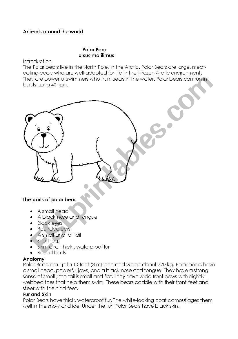 polar bears ESL worksheet by soniaanzivino