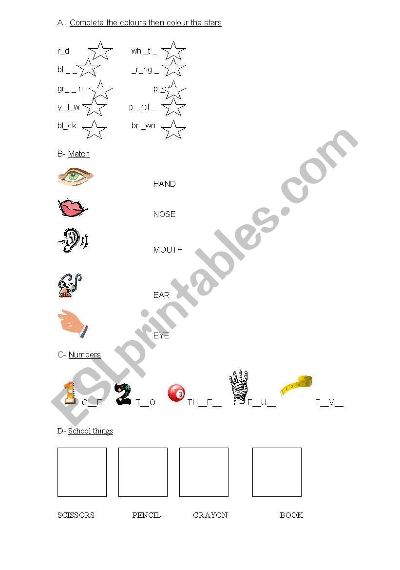 TEST colours,body,numbers worksheet