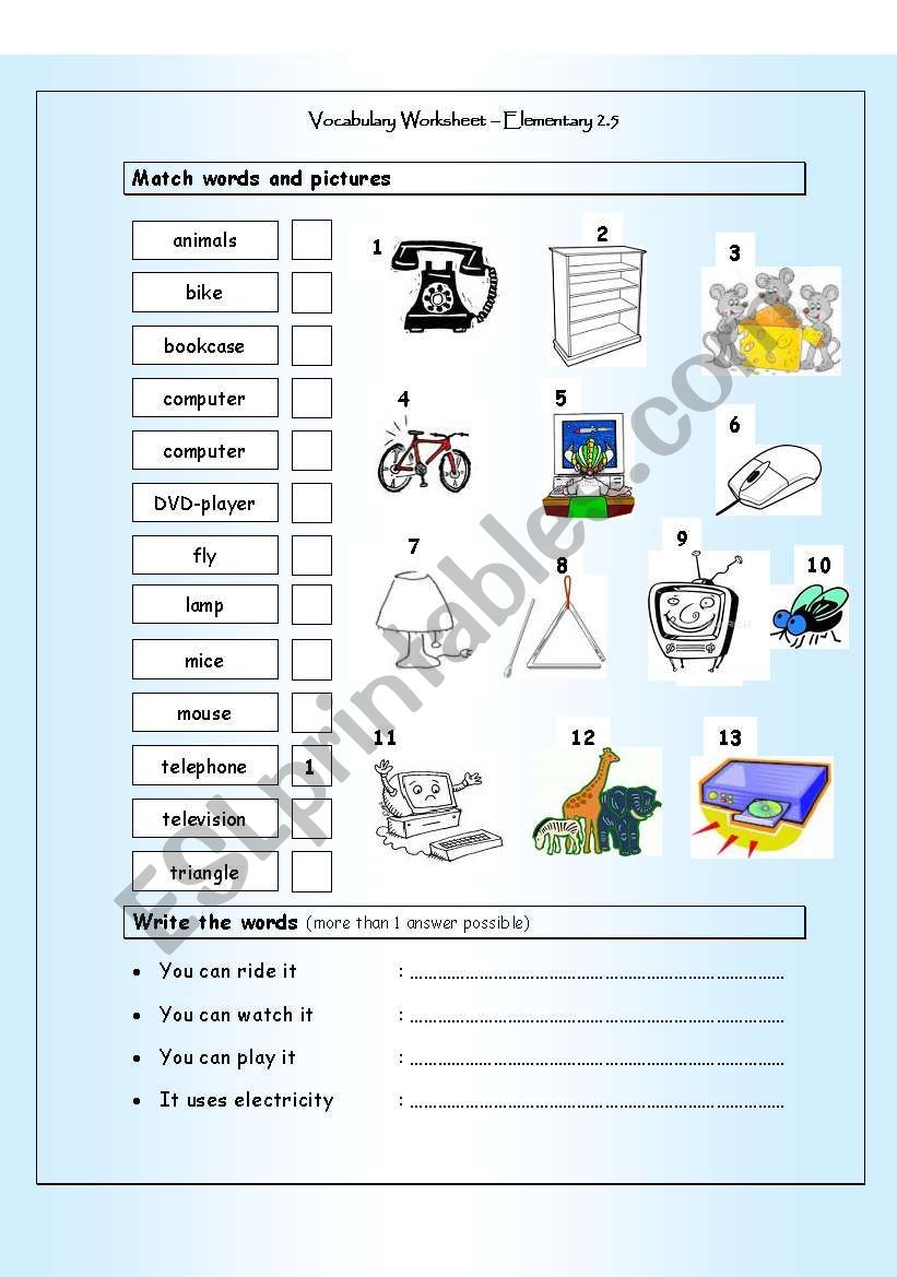 Vocabulary Matching Worksheet - Elementary 2.5