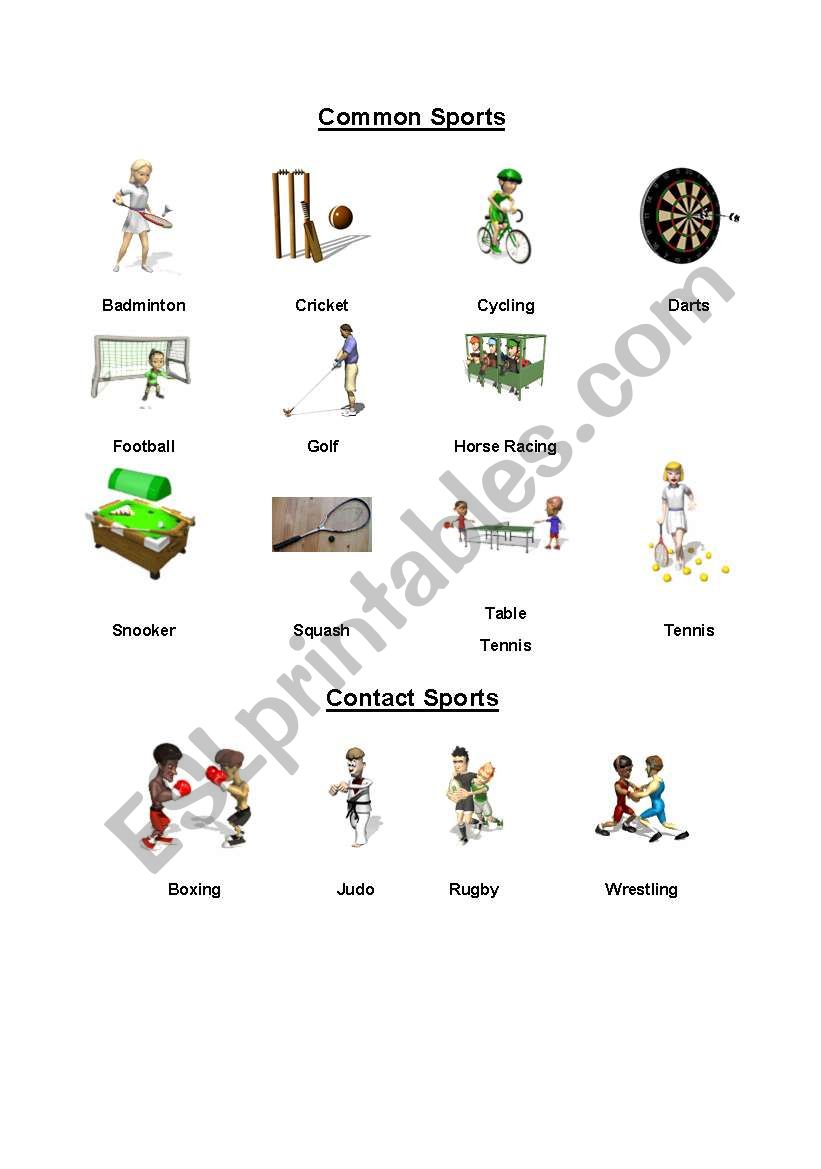 Sports worksheet