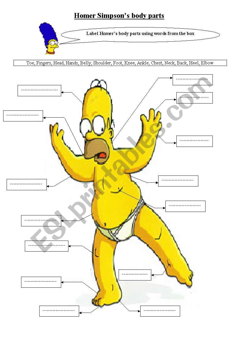 Homer Simpson body parts  worksheet
