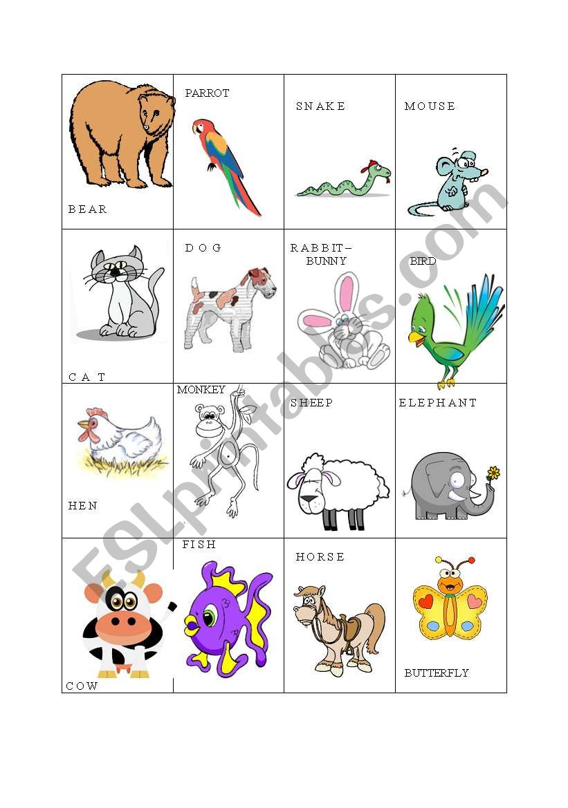 animals flash cards worksheet