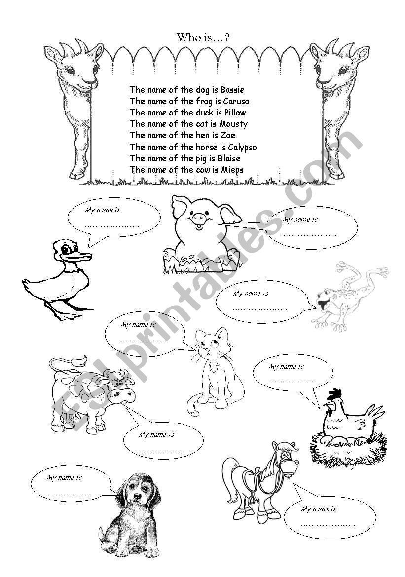 who is who.... animals worksheet