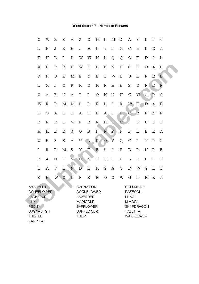 WORDSEARCH  worksheet