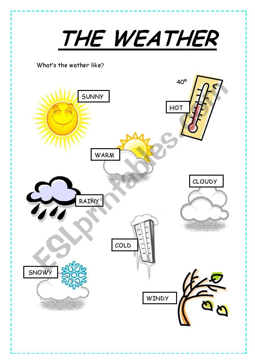 the weather worksheet