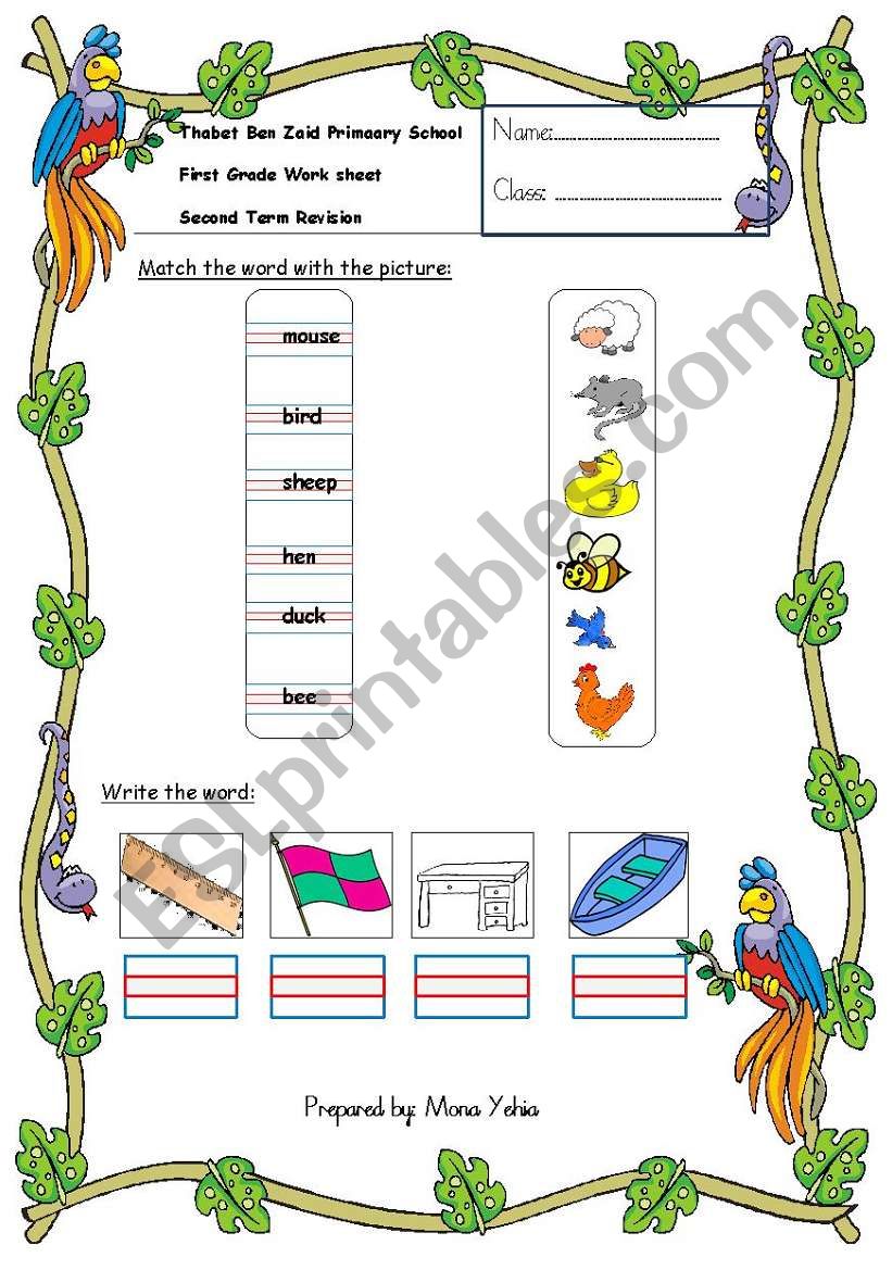 mixed skills worksheet worksheet