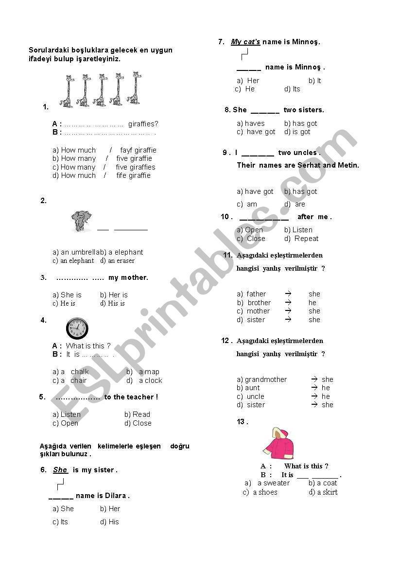 begginer worksheet worksheet