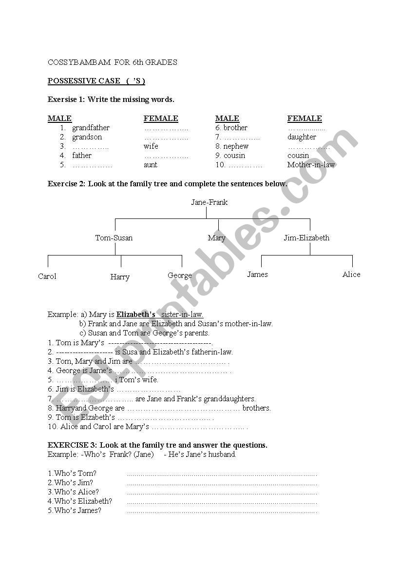 Possessive case worksheet