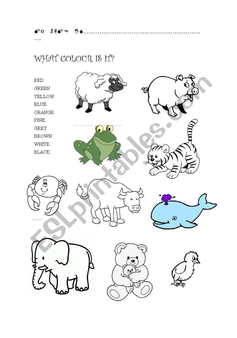 COLOURS AND ANIMALS worksheet