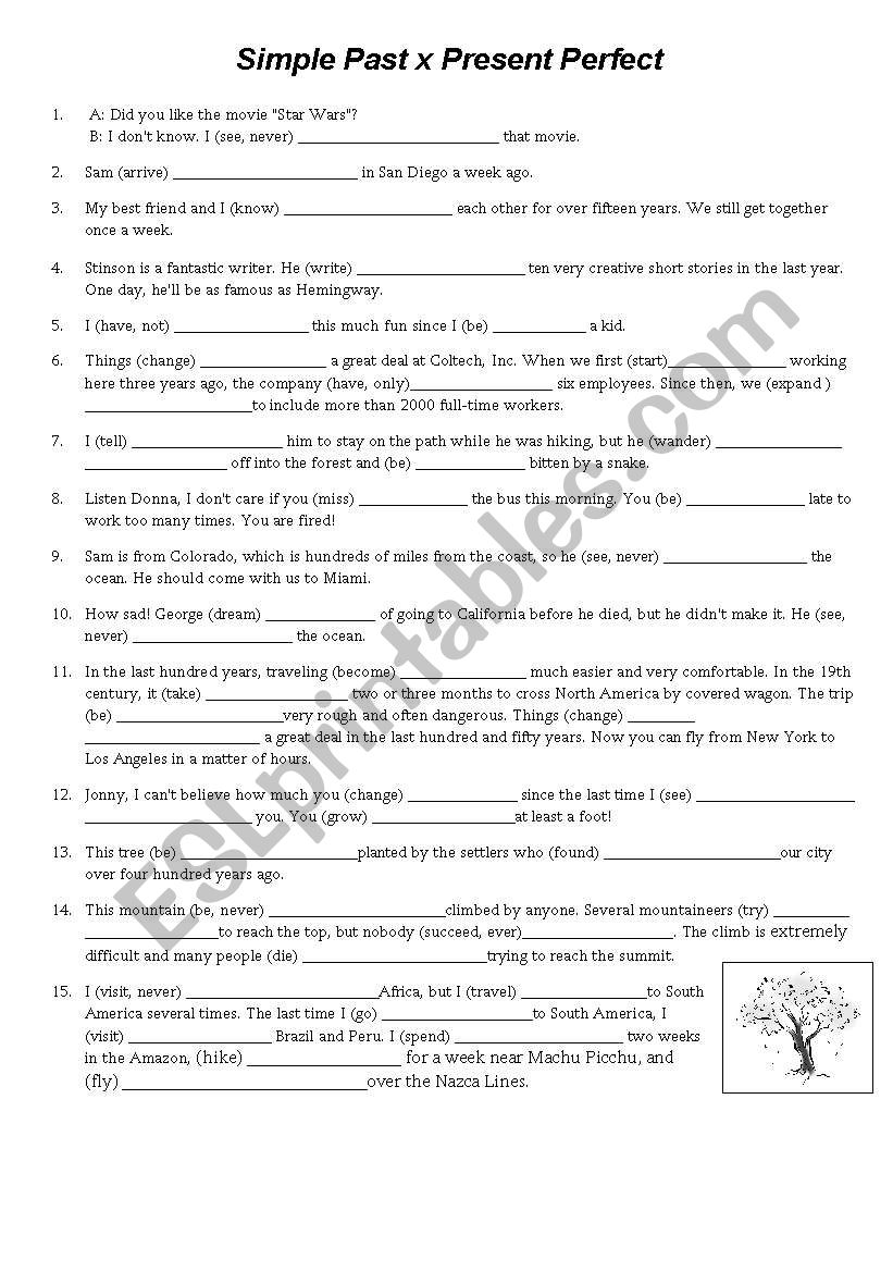 Simple Past   X   Present Perfect