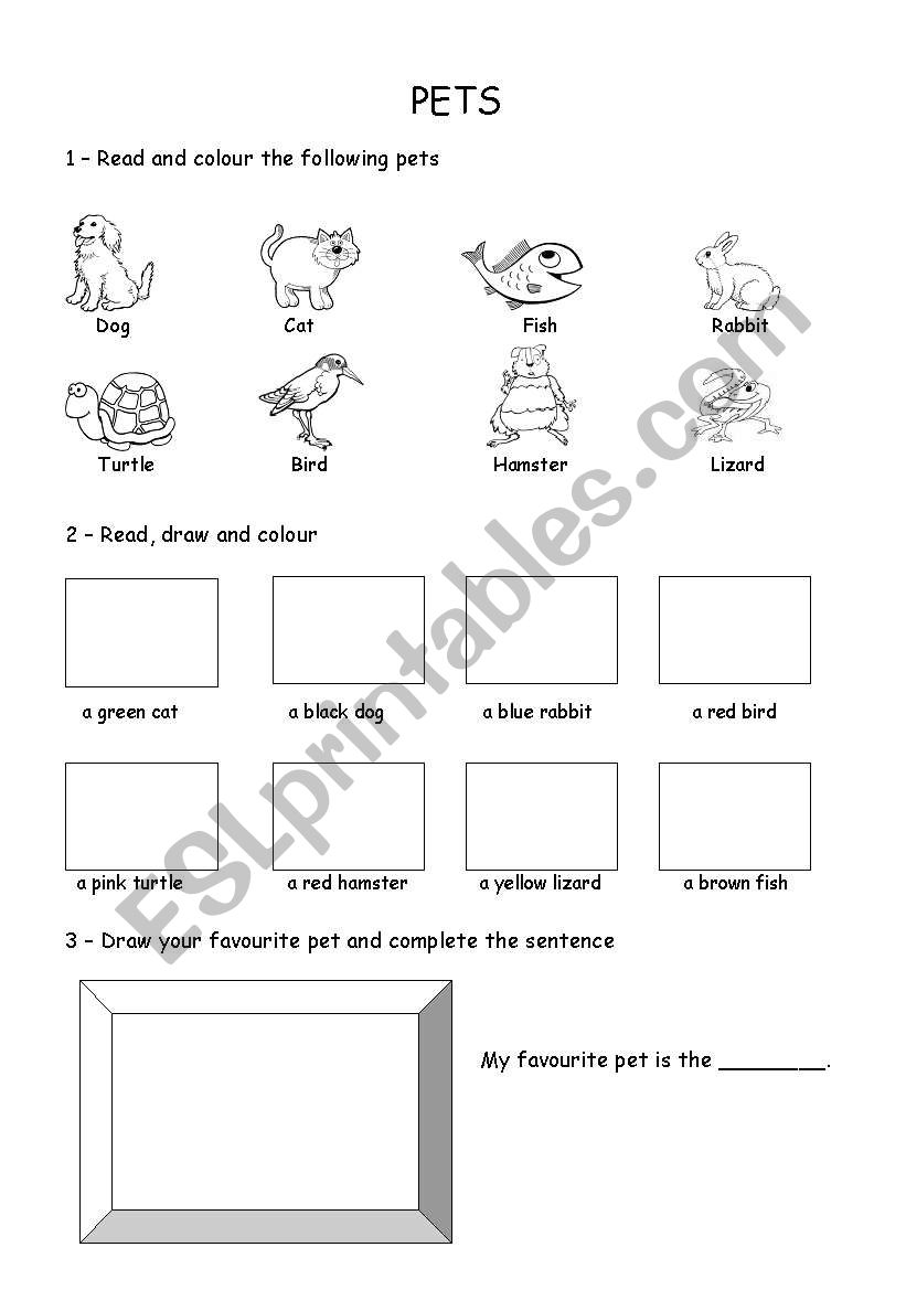 Pets worksheet