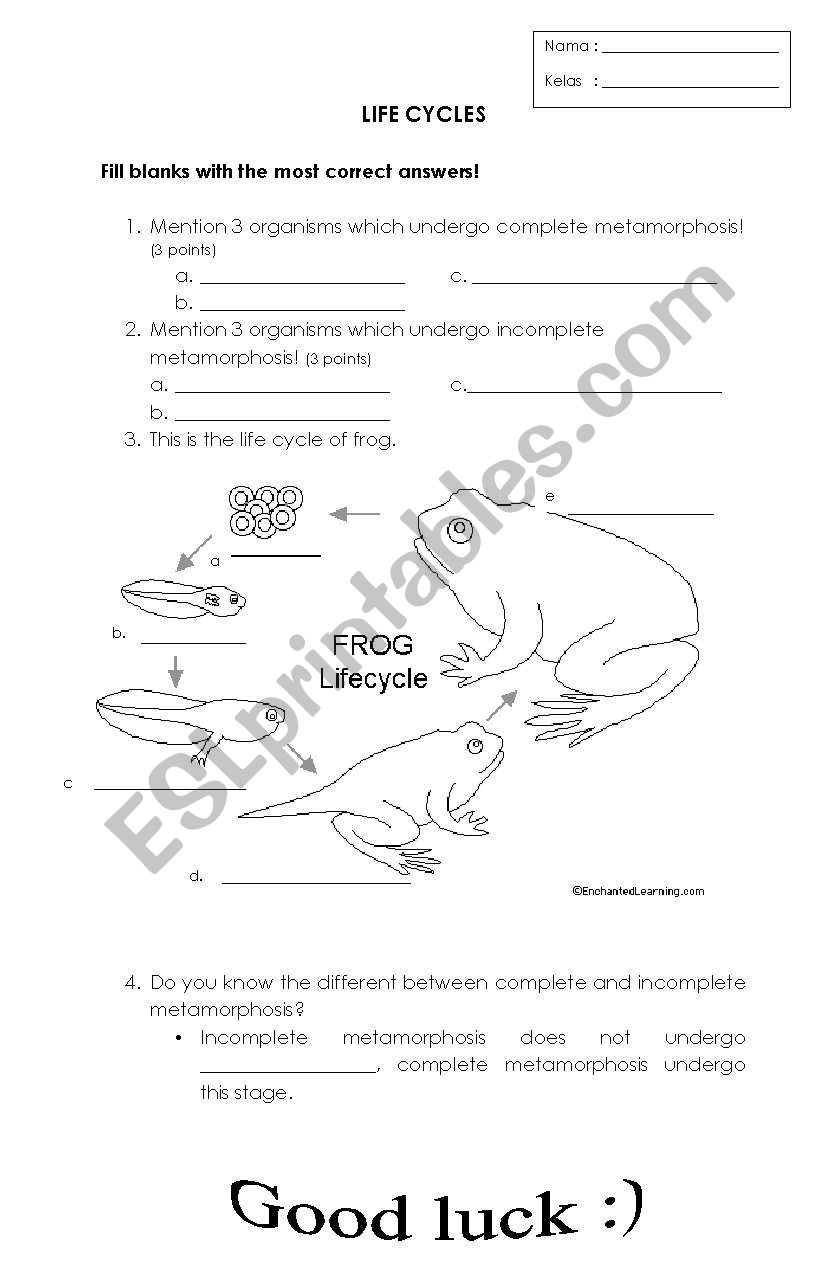 Lifecycle worksheet