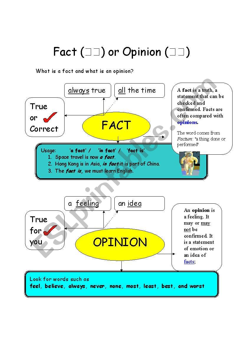 Fact or Opinion worksheet