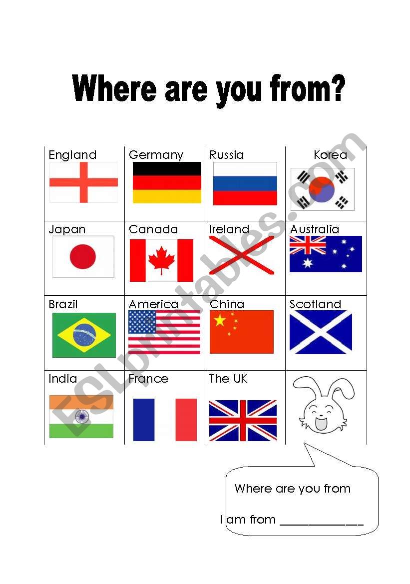 Where are you from Bingo? (Fully editable)