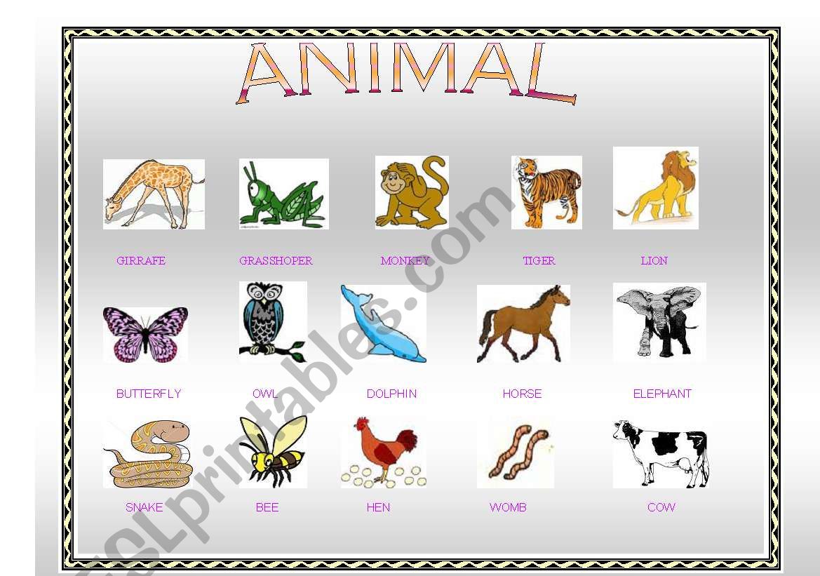 ANIMAL worksheet