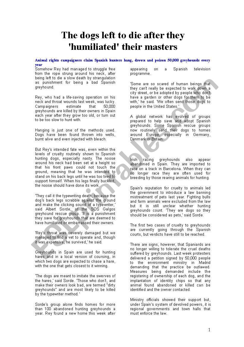 SAVE THE ANIMALS: GREYHOUNDÂ´S TORTURE IN SPAIN