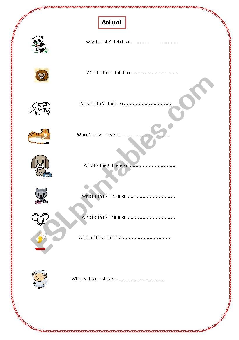 animals worksheet