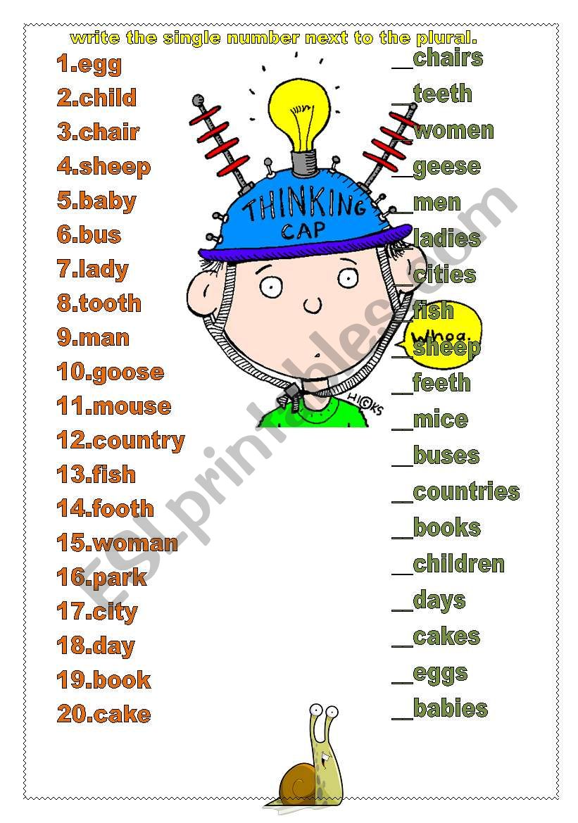 plural nouns worksheet