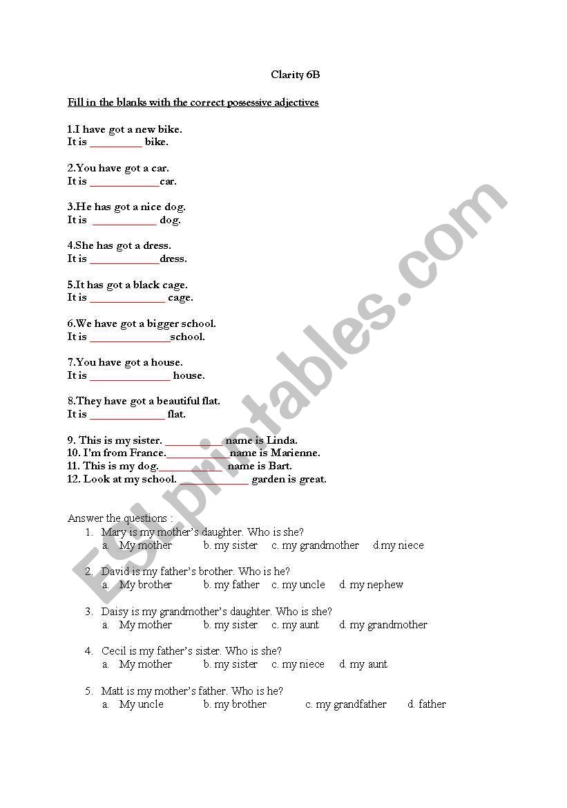 possessive adjectives worksheet