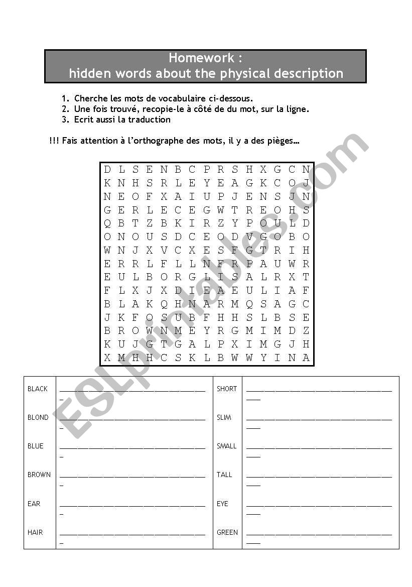 English Worksheets Physical Description