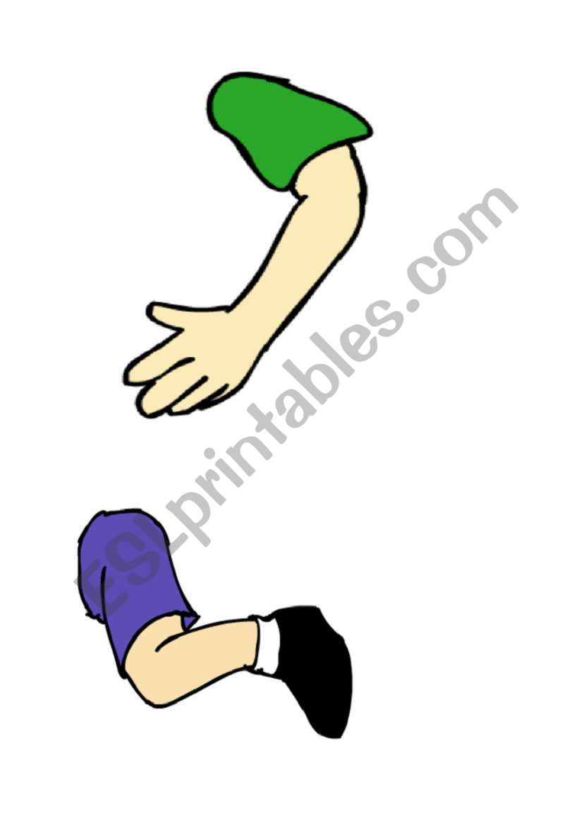 bodyparts worksheet