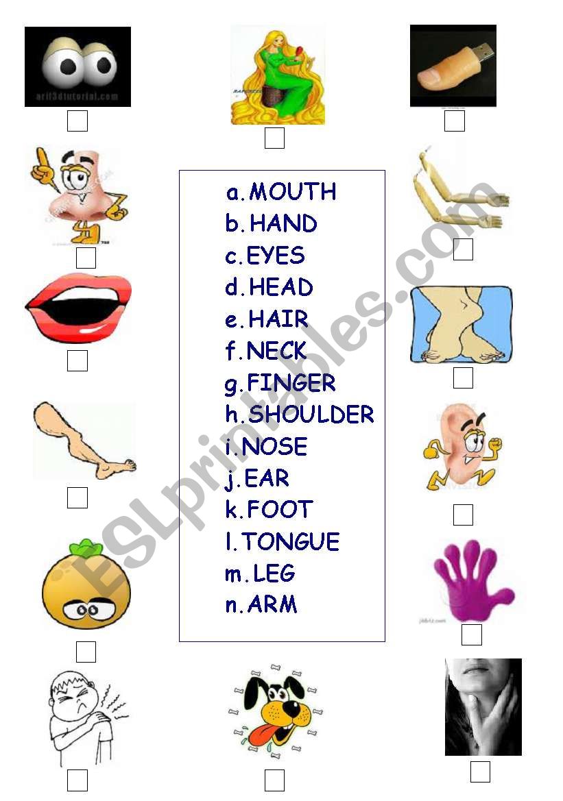 Body Parts worksheet