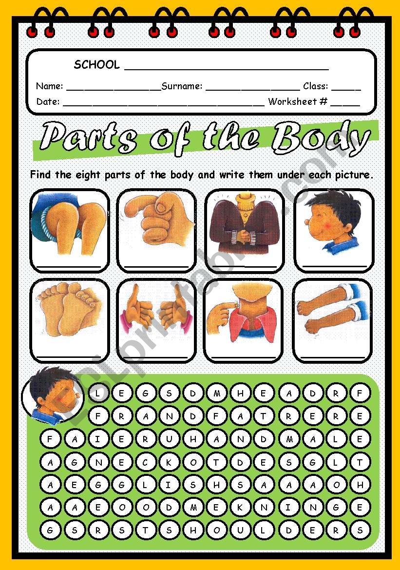 PARTS OF THE BODY worksheet