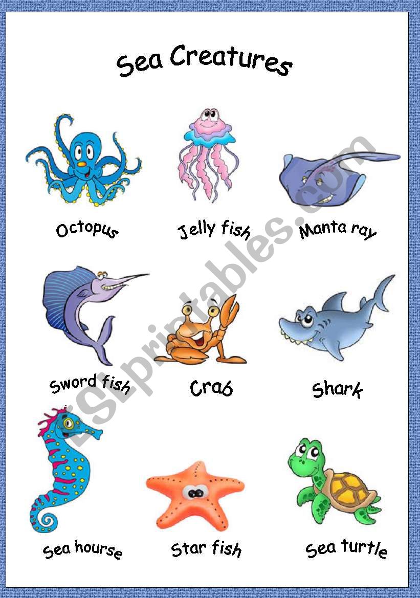 sea creatures worksheet