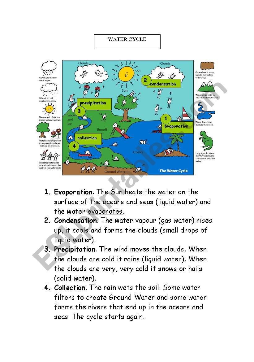 The Earth Water cycle worksheet