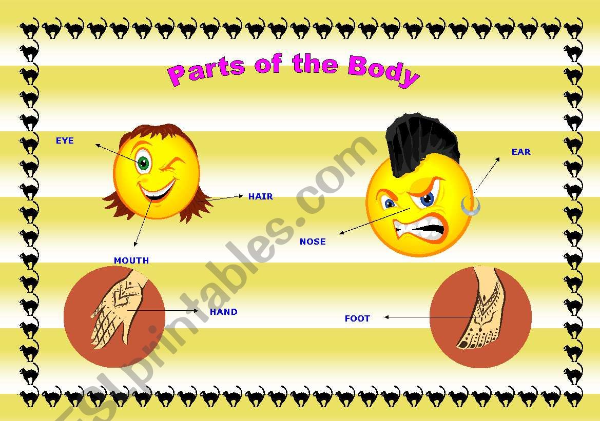 Parts of the body worksheet