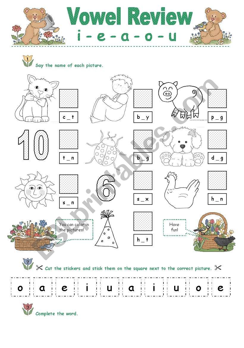 Vowel Review -  worksheet