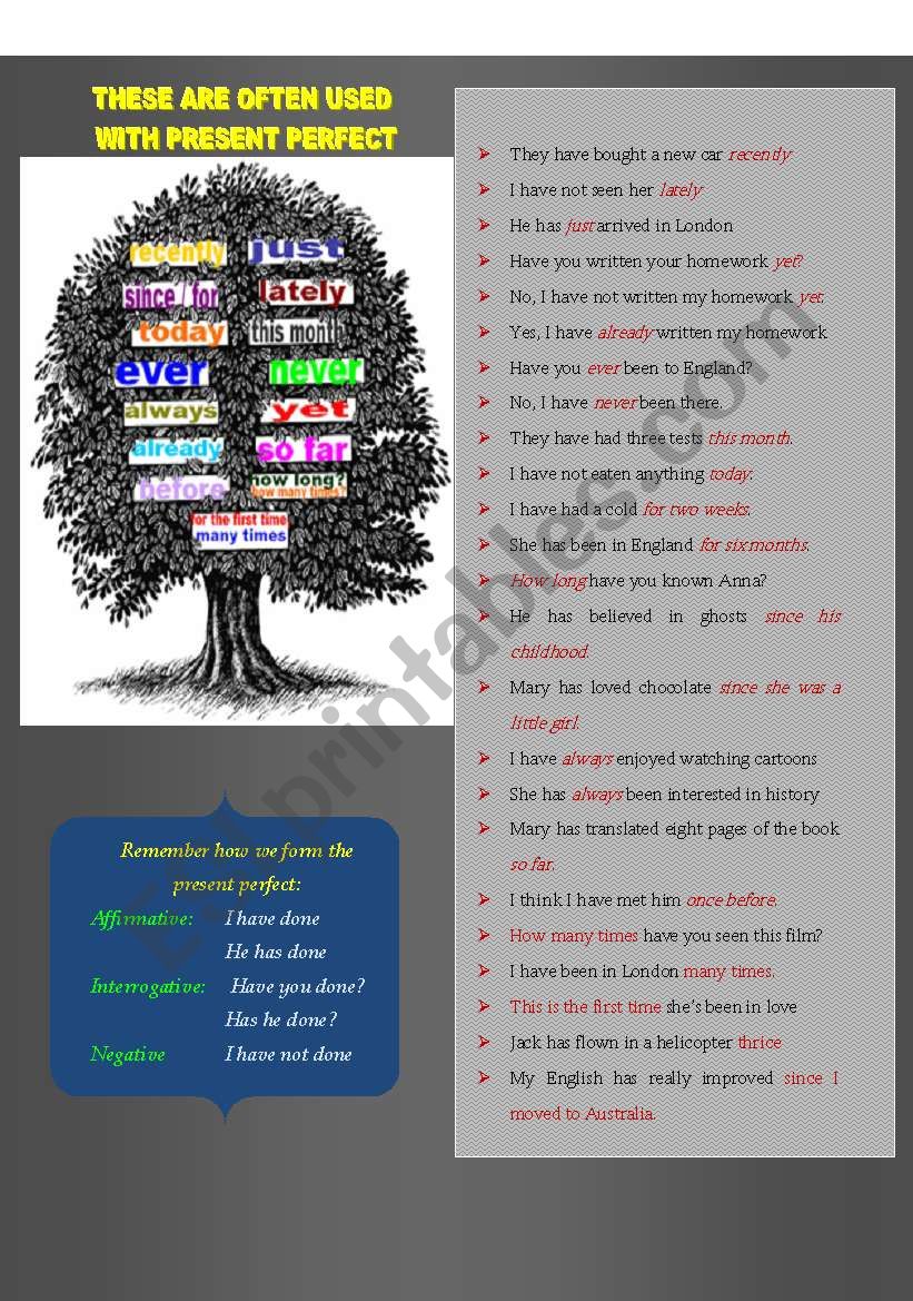 Present Perfect Tense: Common Adverbs and Phrases