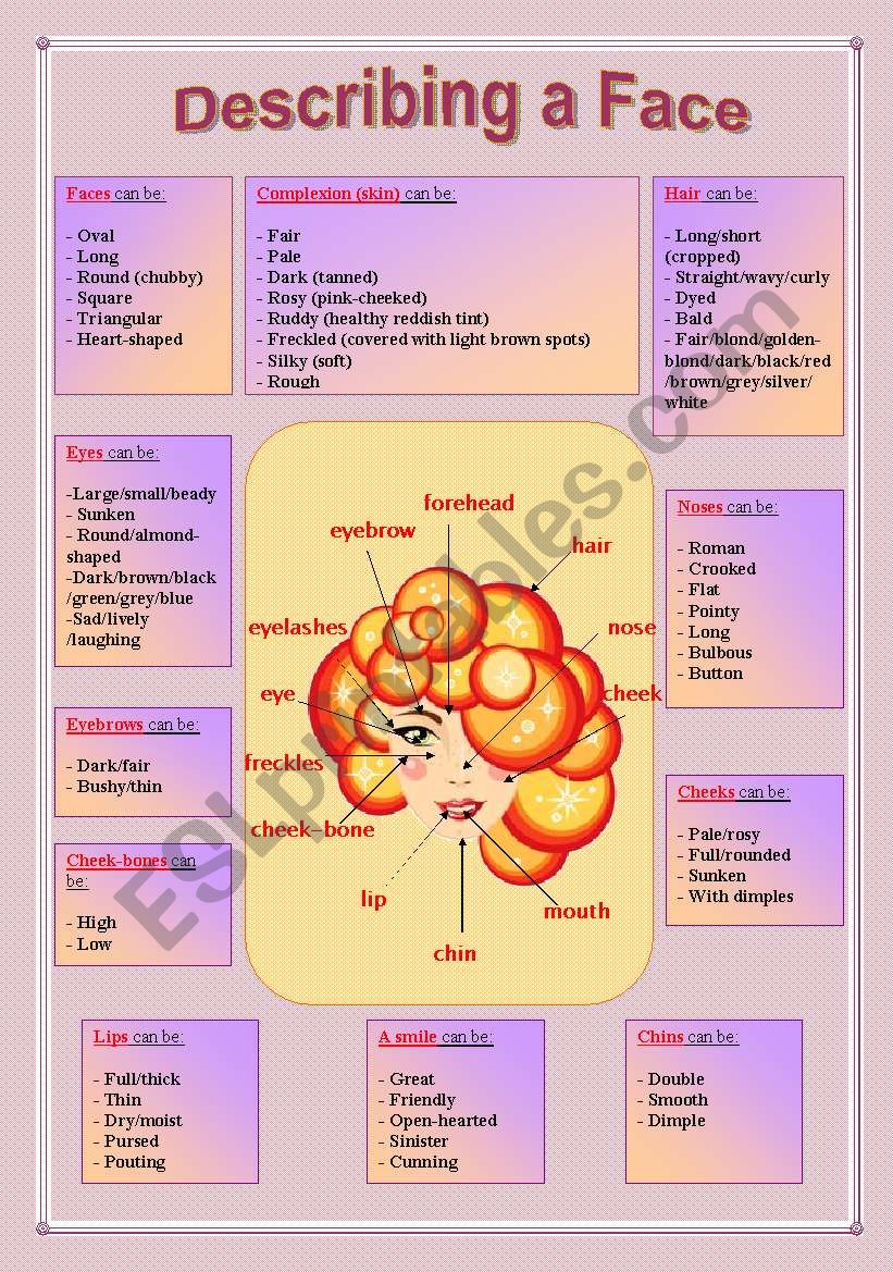 Describing a Face worksheet