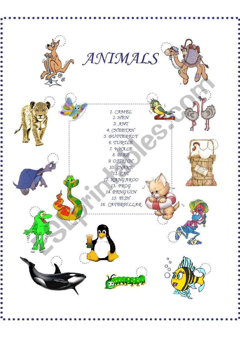 Animals worksheet