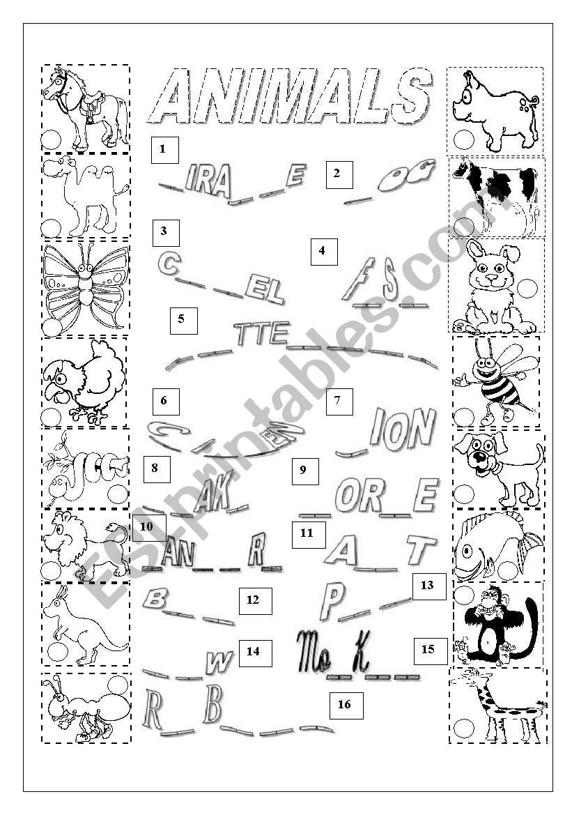 Animals worksheet