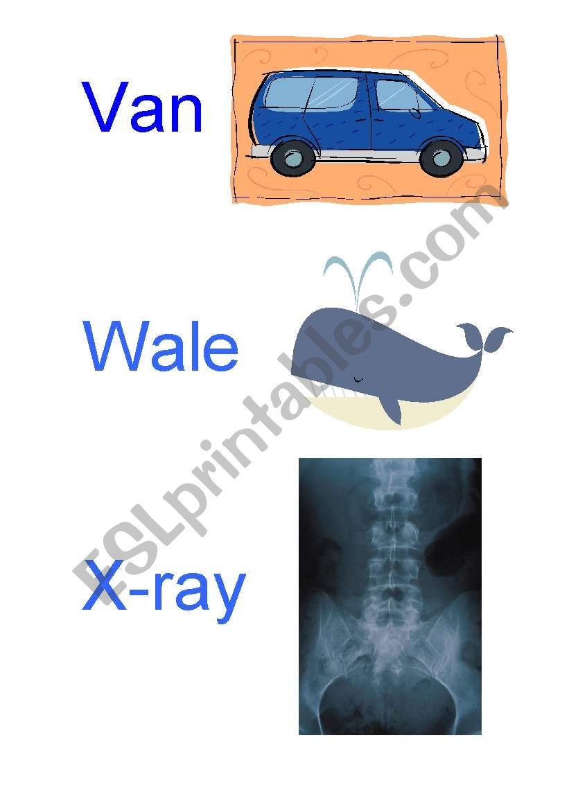 the alphabet V-W-X worksheet