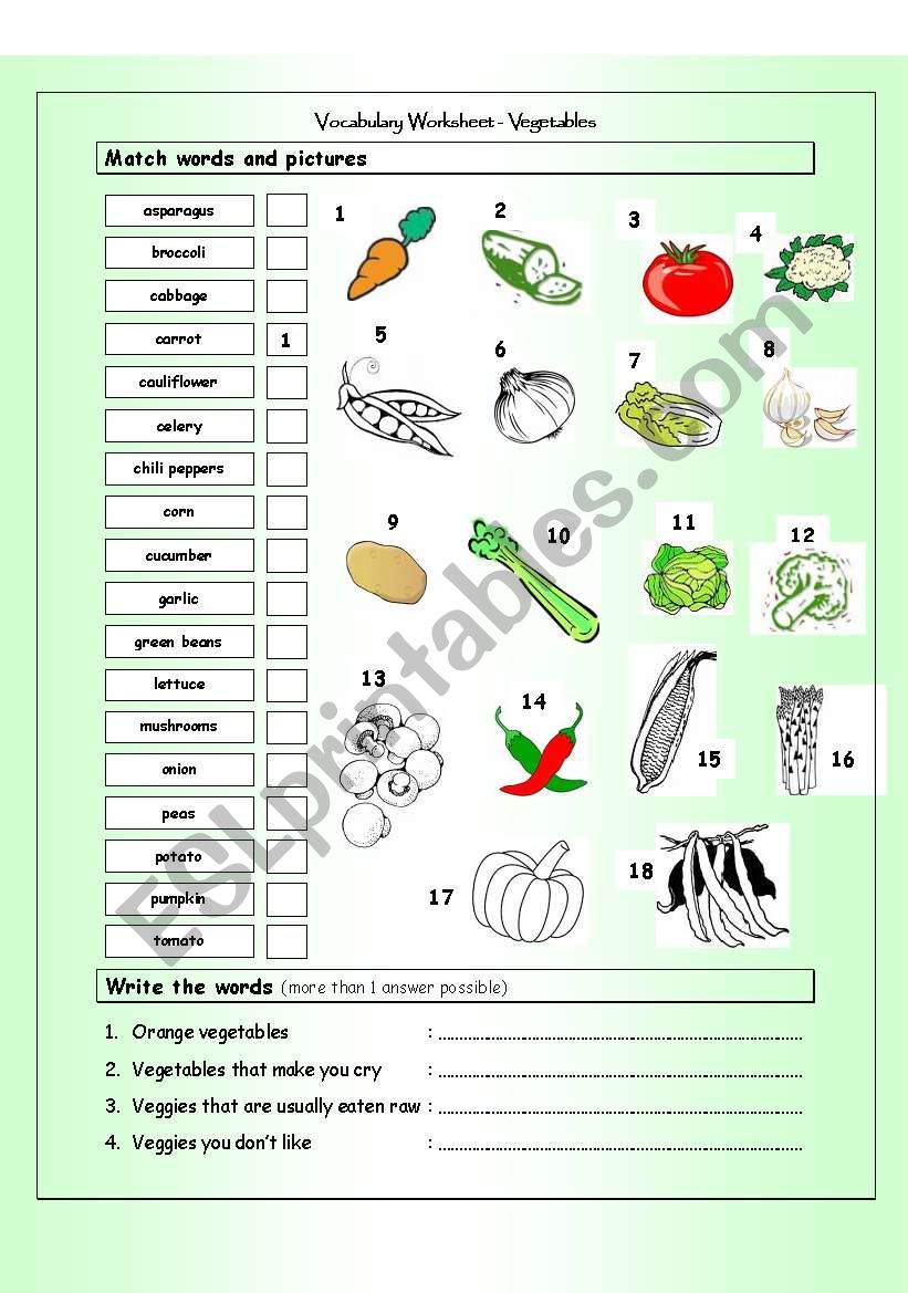 Vocabulary Matching Worksheet - VEGETABLES