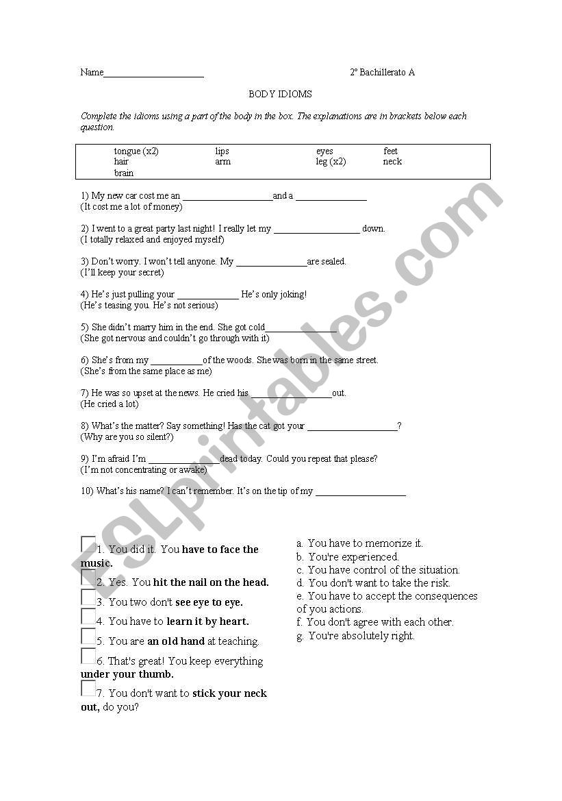 Body idioms worksheet worksheet