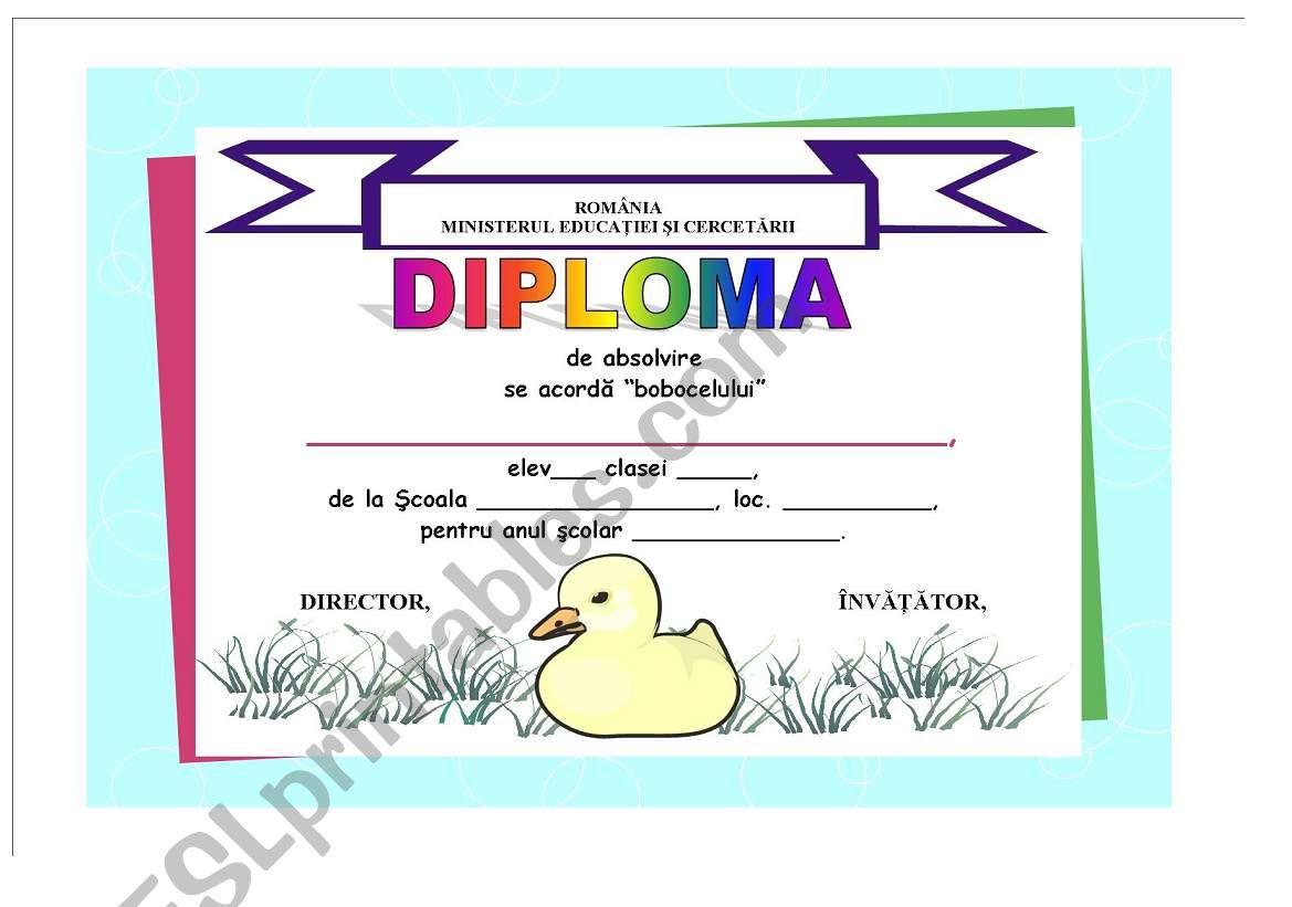 Diploma worksheet