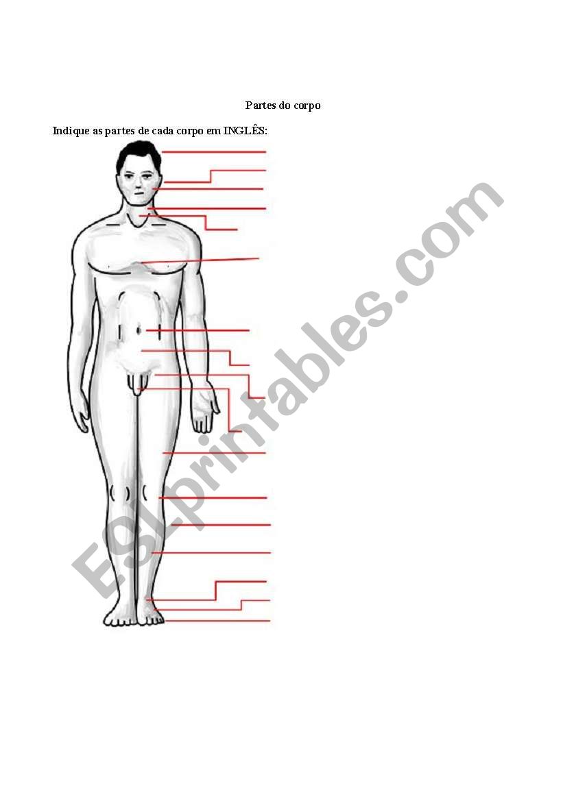 Parts of the Body worksheet