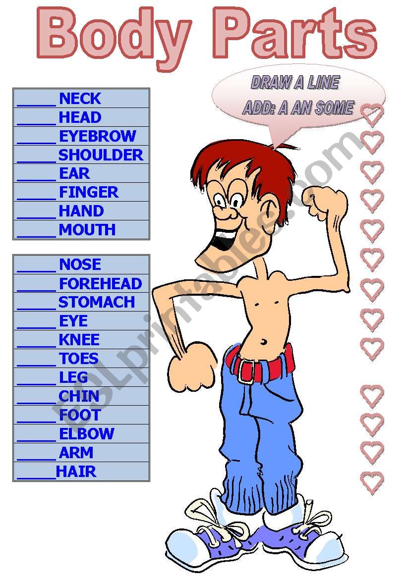 BODY PARTS AND A AN SOME worksheet